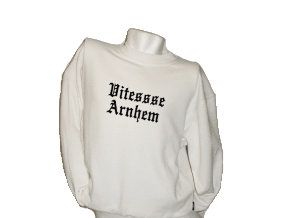 Sweater Vitesse Arnhem